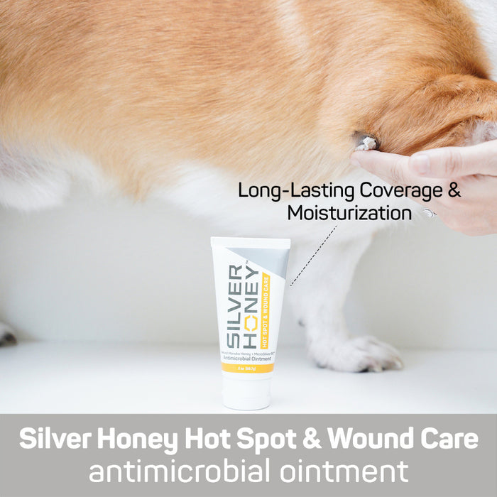 The Missing Link Silver Honey Hot Spot & Wound Care Ointment