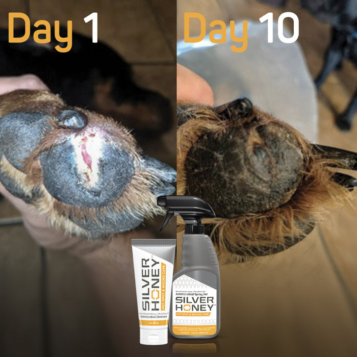 The Missing Link Silver Honey Hot Spot & Wound Care Ointment