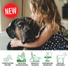 SaniPet Pet Safe Sanitizing Coat and Paw Spray, Alcohol Free