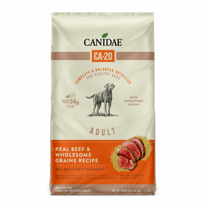 Canidae CA-20 Real Beef Recipe With Wholesome Grains Dry Dog Food