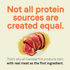Canidae CA-20 Real Beef Recipe With Wholesome Grains Dry Dog Food
