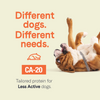 Canidae CA-20 Real Beef Recipe With Wholesome Grains Dry Dog Food