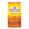Wellness Complete Health Indoor Health Deboned Chicken & Chicken Meal Recipe Dry Cat Food