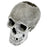 Blue Ribbon Exotic Environments Lifelike Human Skull Tank Accessory