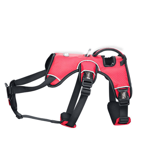 Dog's chest harness traction rope