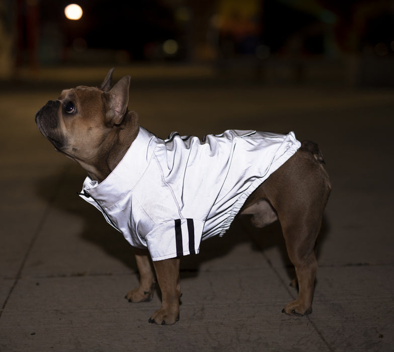 Canada Pooch Night Vision Reflective Grey Jacket for Dogs