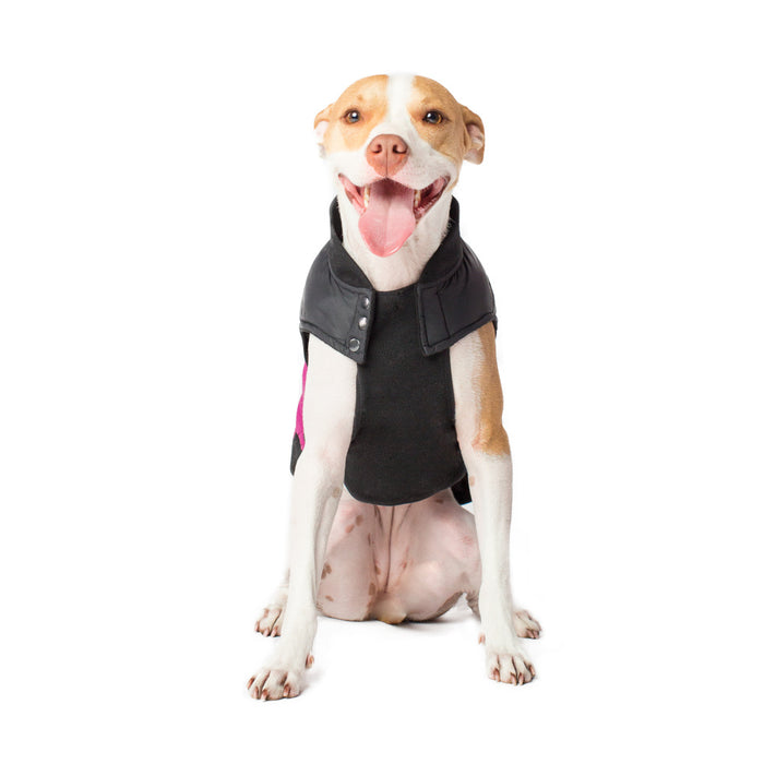 Canada Pooch Summit Stretch Plum Vest for Dogs