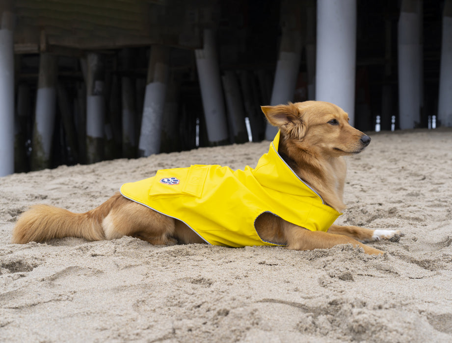 Canada Pooch Torrential Tracker Yellow Rain Coat for Dogs