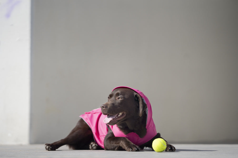 Canada Pooch Torrential Tracker Pink Rain Coat for Dogs