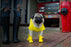 Canada Pooch Wellies Boots Yellow for Dogs