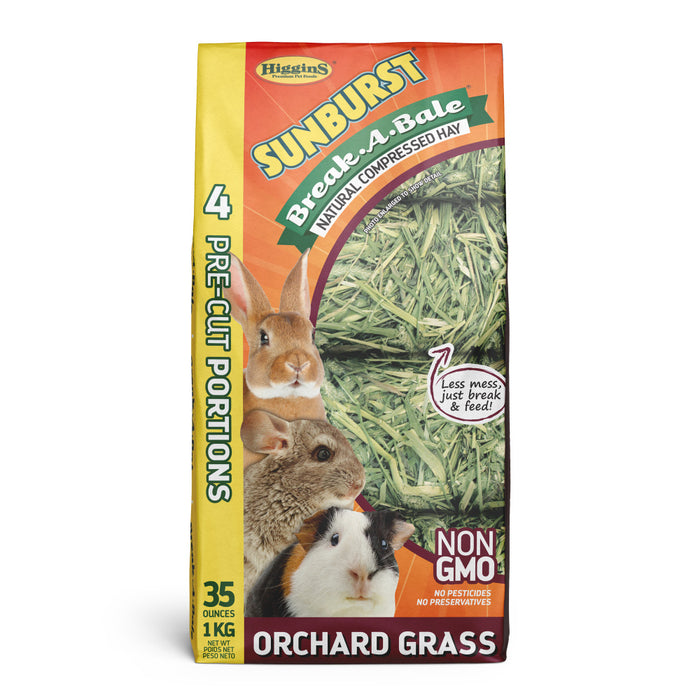 Higgins Sunburst Break-A-Bale Orchard Grass