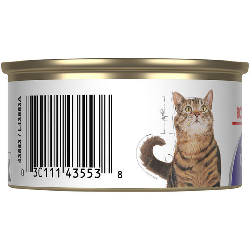 Royal Canin Feline Care Nutrition Appetite Control Canned Cat Food