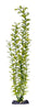Penn-Plax Aquarium Decor Blooming Ludwigia Green