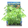 Penn-Plax Aquarium Decor Pennyworth Green 5 count