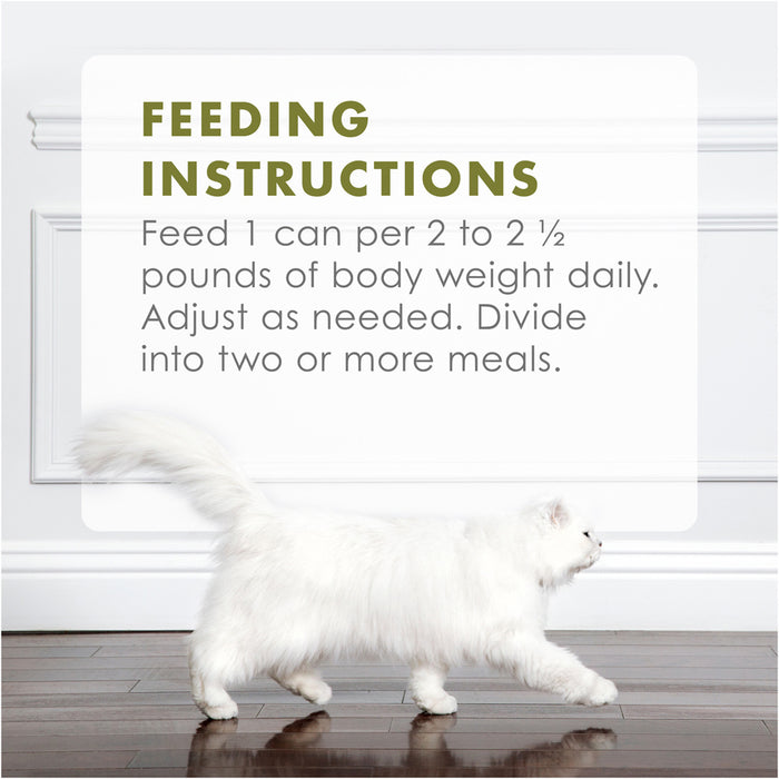 Fancy Feast Gourmet Naturals White Meat Chicken Recipe In Gravy Natural Wet Cat Food
