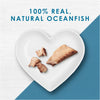 Fancy Feast Natural Grain-Free Purely Filets Natural Oceanfish Wet Cat Food Complement