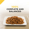Purina Pro Plan Prime Plus Chicken & Rice Formula Senior Dry Cat Food