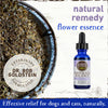 Earth Animal Flower Essence Remedies Emotional Balance