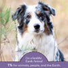Earth Animal Healthy Weight Nutritional Supplement