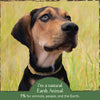 Earth Animal Nature's Protection Flea & Tick Prevention Herbal Bug Spray for Dogs & People