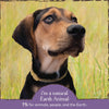 Earth Animal Nature's Protection Flea & Tick Prevention Herbal Spot-On for Large Dogs