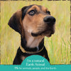 Earth Animal Nature's Protection Flea & Tick Prevention Herbal Topical Powder for Dogs, Cats, Homes, & Yards