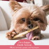 Earth Animal No-Hide Salmon Stix Dog & Cat Chews