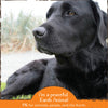 Earth Animal Organic Herbal Remedies Immune Support