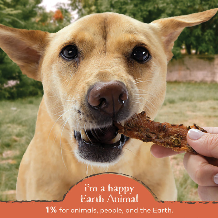 Earth Animal Tenders Mellow Chicken Jerky Dog Treats