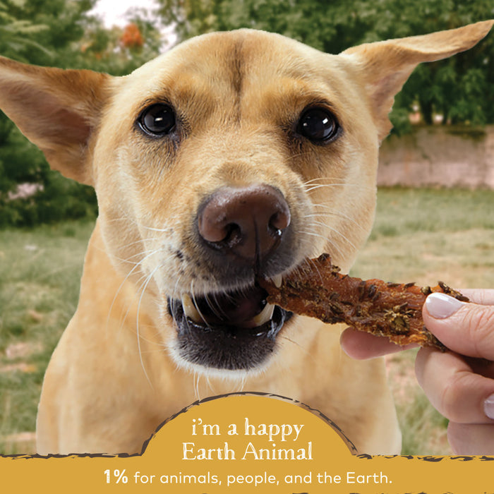 Earth Animal Tenders Perfectly Plain Chicken Jerky Dog Treats