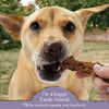 Earth Animal Tenders Shine Chicken Jerky Dog Treats