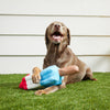 BARK Rocket Pupsicle Dog Toy