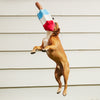 BARK Rocket Pupsicle Dog Toy