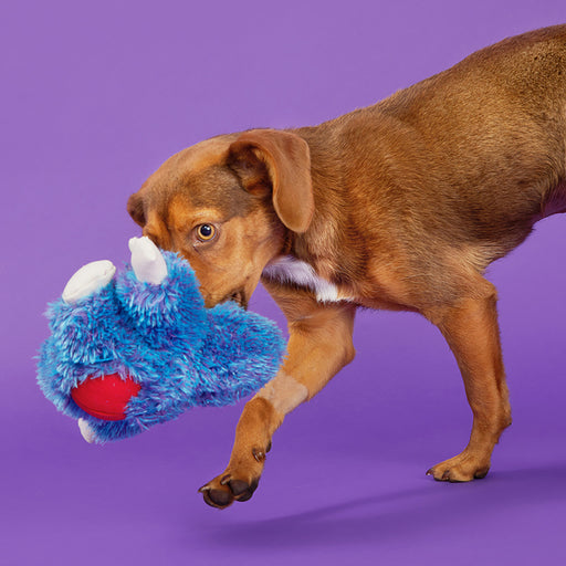 BARK Zeke the Cheeky Monkey Dog Toy