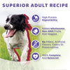 Halo Halo Adult Dog Holistic Beef & Beef Liver Recipe Dog Food