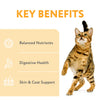 Optimeal Nutrient Balance Chicken & Brown Rice Recipe Adult Cat Dry Food