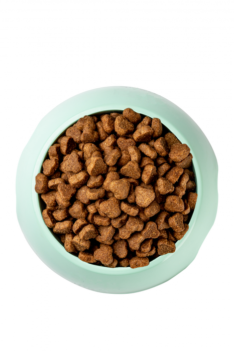 Optimeal Medium Breed Nutrient Balance Turkey & Rice Recipe Adult Dog Dry Food