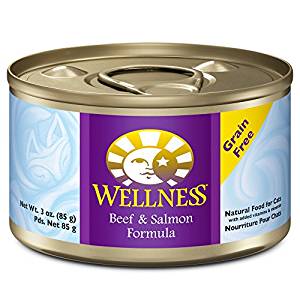 Health Beef & Salmon Formula Grain-Free Canned Cat Food
