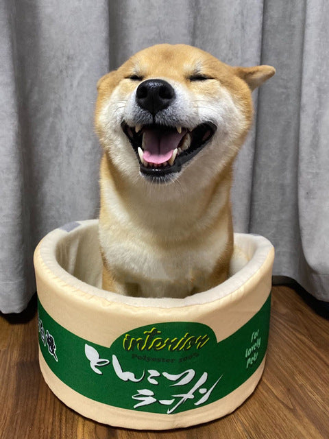 Japanese instant noodles dog''s nest