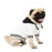 High-end pet clothes color matching sweater with pocket