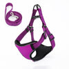 Vest-style dog walking rope rope
