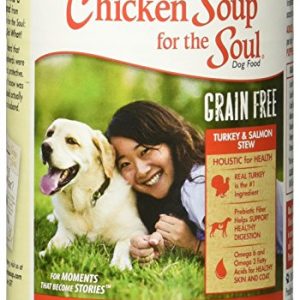 Chicken Soup for the Soul Grain Free Turkey & Salmon Stew Dog